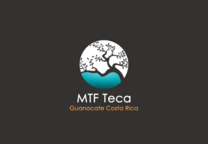 Logo Design by Valentim for MTF Teca de Costa Rica | Design: #16937279
