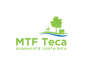 Logo Design by bc21 for MTF Teca de Costa Rica | Design: #16938364