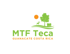 Logo Design by bc21 for MTF Teca de Costa Rica | Design: #16938366