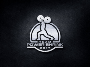 Logo Design by the majestic design