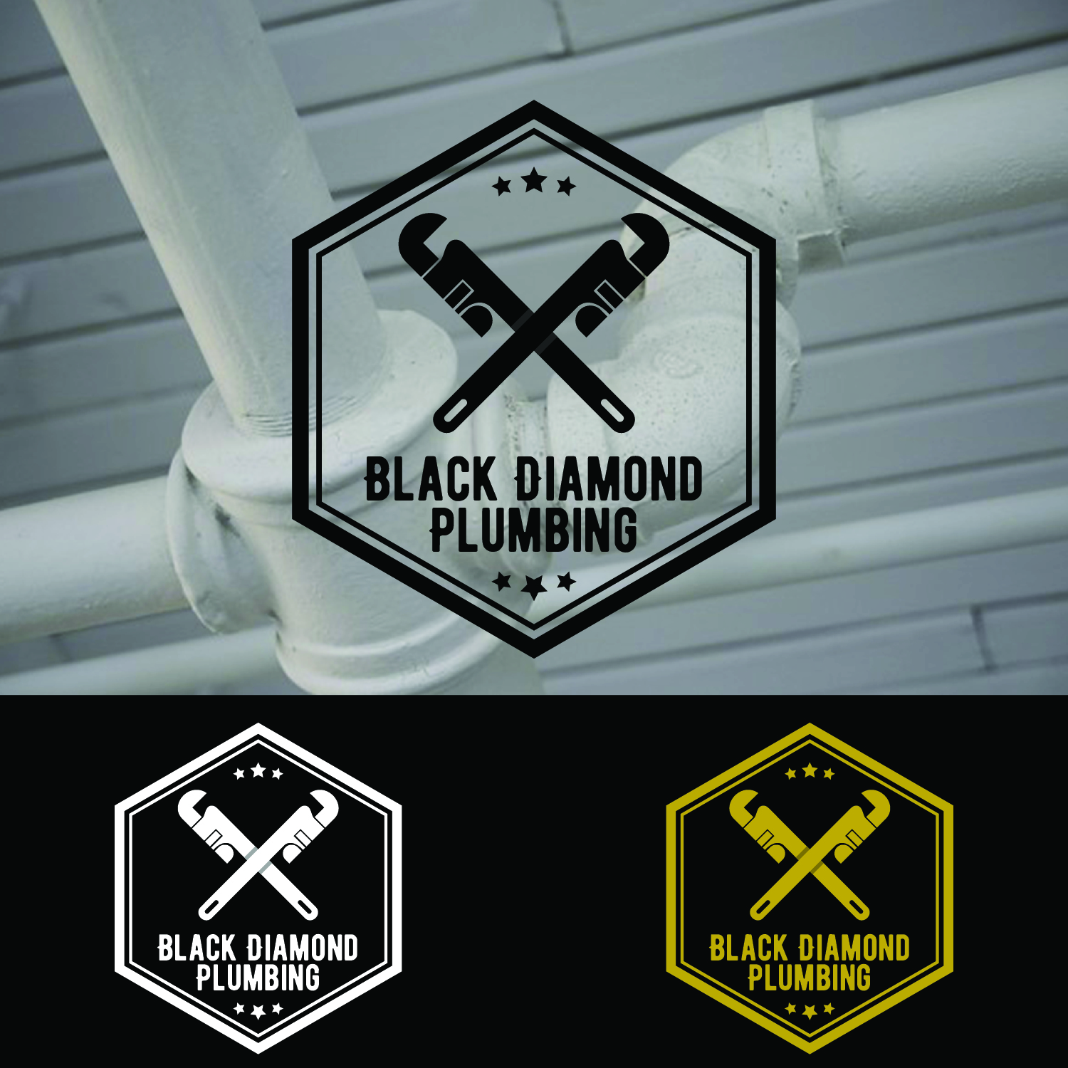 Logo Design by tearjerrky for this project | Design #16941559