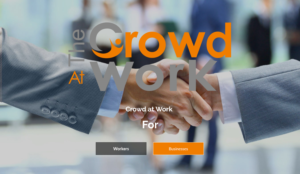 Web Design by Viranidevelopers
