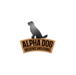 Logo Design by Maand for New York Development and Construction Group LLC | Design: #16948310