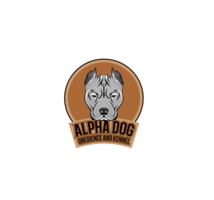 Logo Design by Maand for New York Development and Construction Group LLC | Design: #16948379