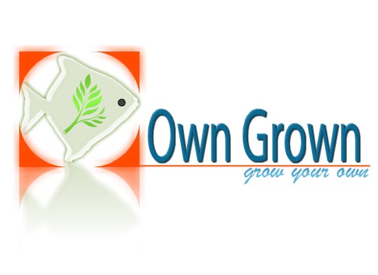 Logo Design by Sanika.Bhuleskar for this project | Design #2772953