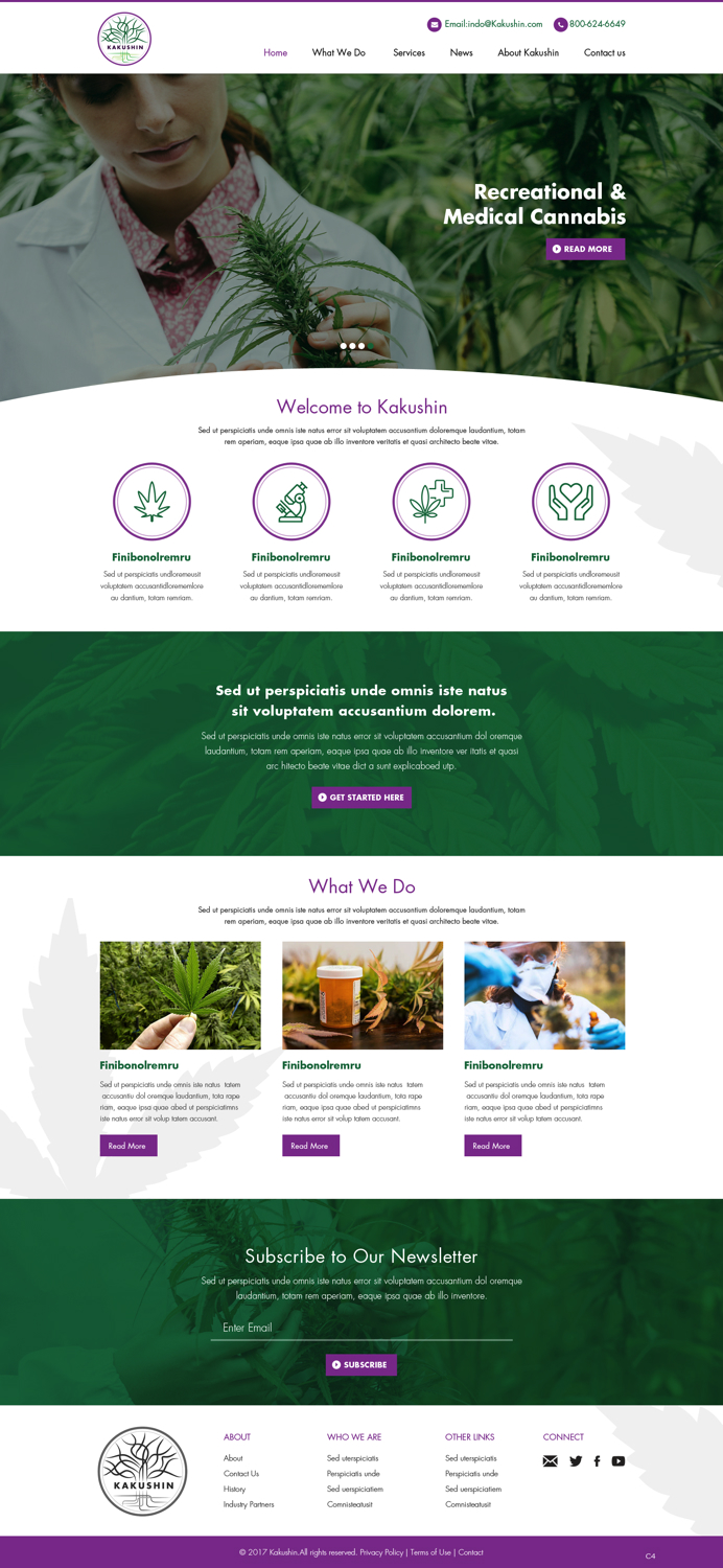 Web Design by pb for Kakushin, Inc. | Design #17061148