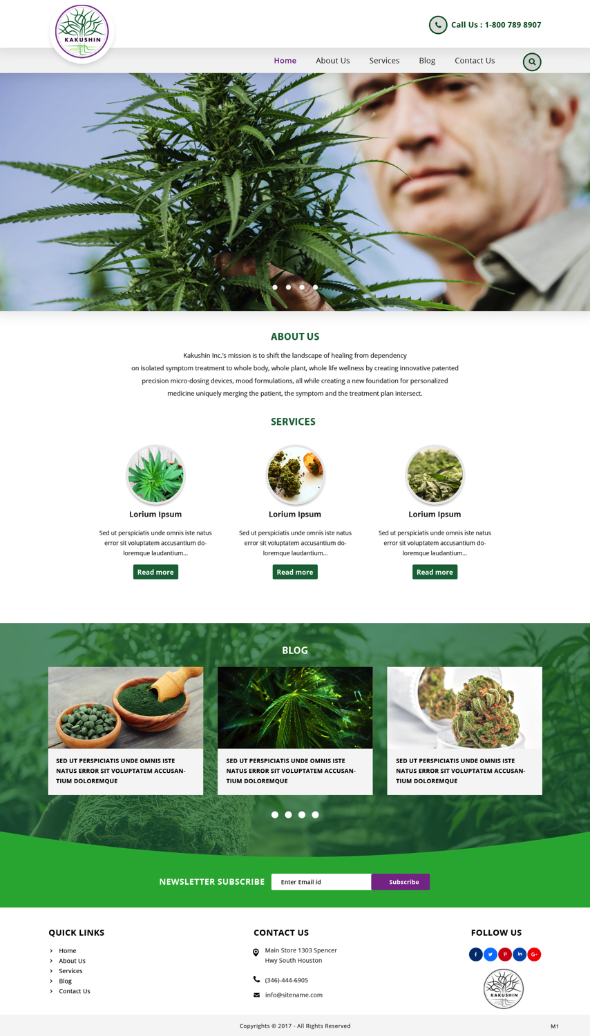 Web Design by pb for Kakushin, Inc. | Design #17061202