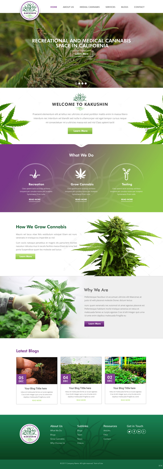 Web Design by pb for Kakushin, Inc. | Design #17061216