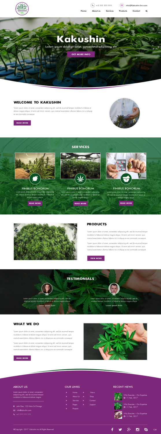 Web Design by pb for Kakushin, Inc. | Design #17071591