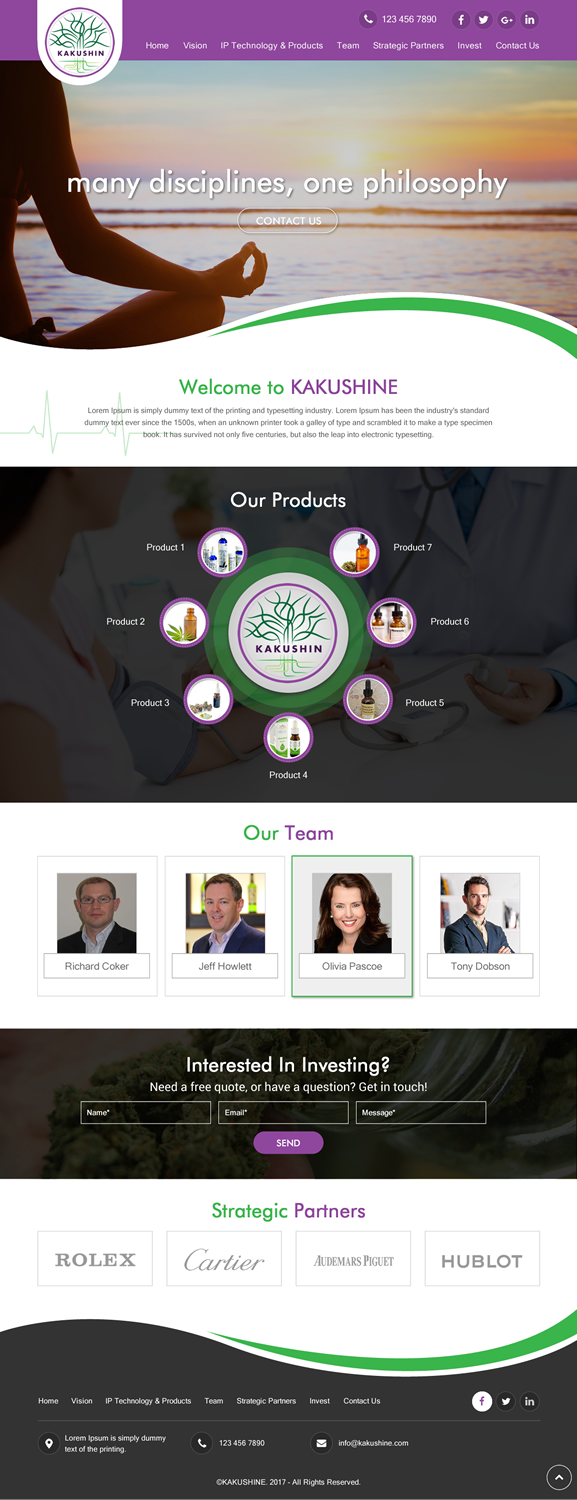 Web Design by rightway for Kakushin, Inc. | Design #17116701