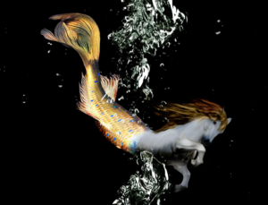 Photoshop Design by PixelDust Co.