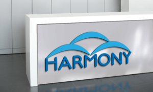 Logo Design by talha005