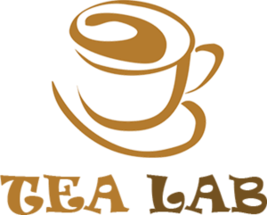 Logo Design by Viranidevelopers