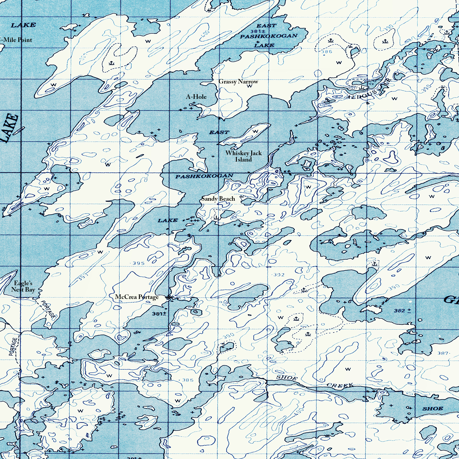 Graphic Design by Martin Alonso for this project | Design #17118363