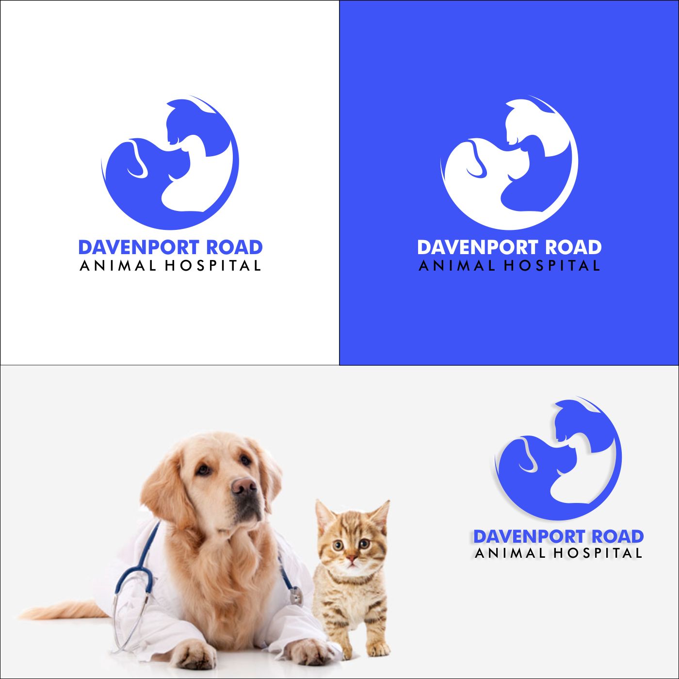 Logo Design by Joenet Jayawarna for Davenport Road Animal Hospital | Design #17111062