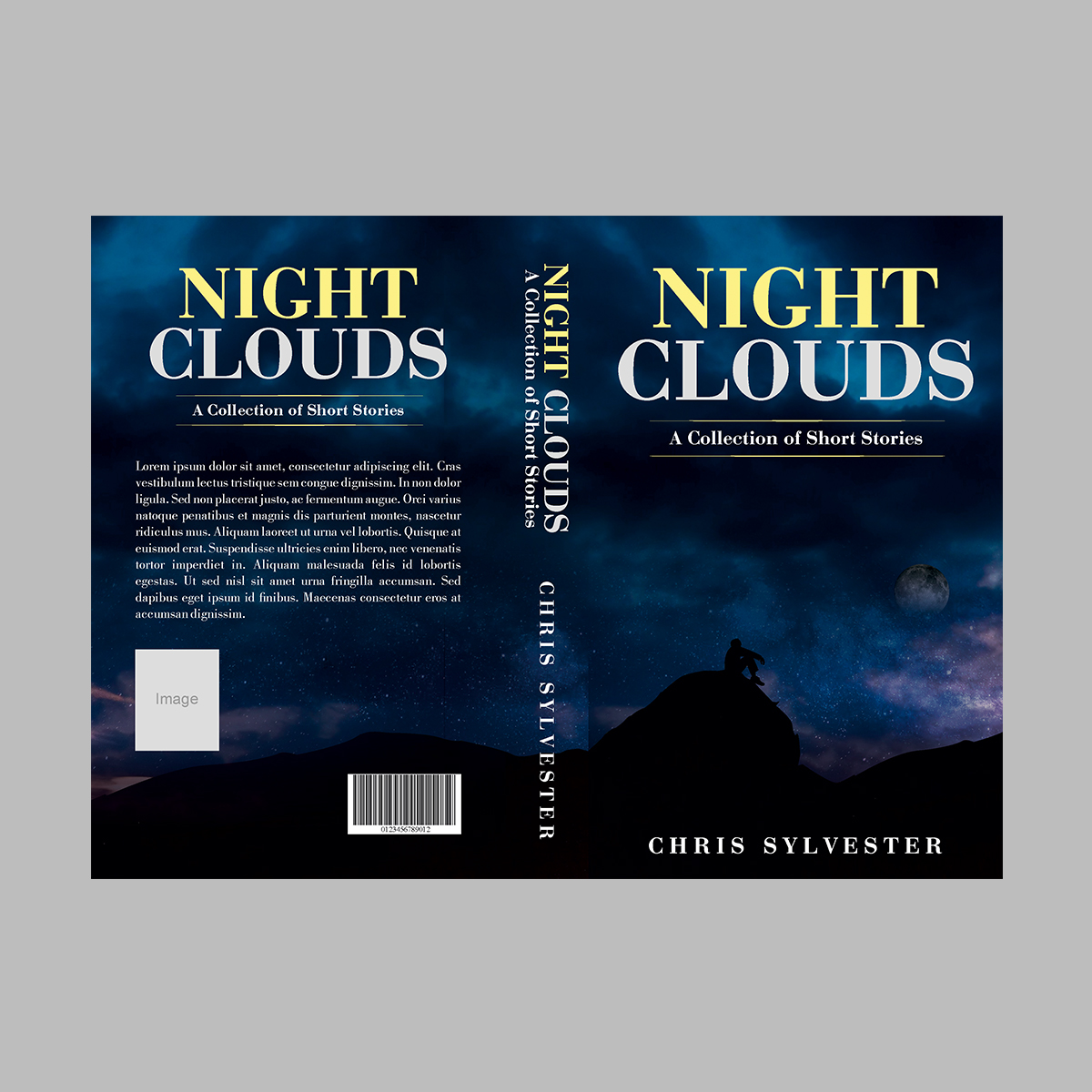 Book Cover Design by Aurora:) for this project | Design #16979758