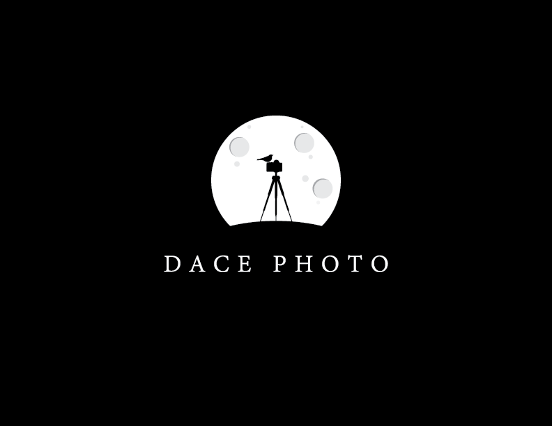 Logo-Design von Psych artist für dieses Projekt | Design #17044562
