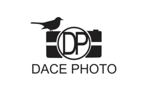 Logo Design by Ayesha 5