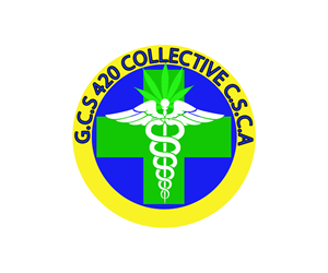 Logo Design by  krish k7