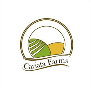 Logo Design by Motion studio for Andrew Perry Marketing | Design: #17002858