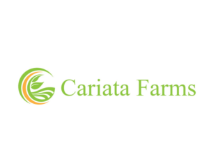 Logo-Design von bc21 für Andrew Perry Marketing | Design: #16986200