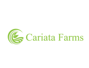 Logo-Design von bc21 für Andrew Perry Marketing | Design: #16986203