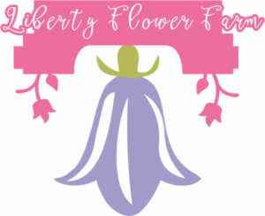 Logo Design by dg web