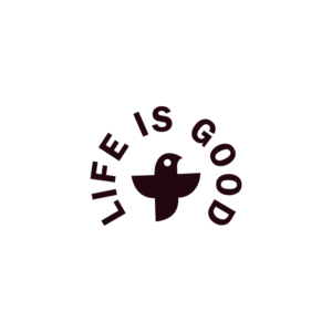 Logo Design by DsgnStory®