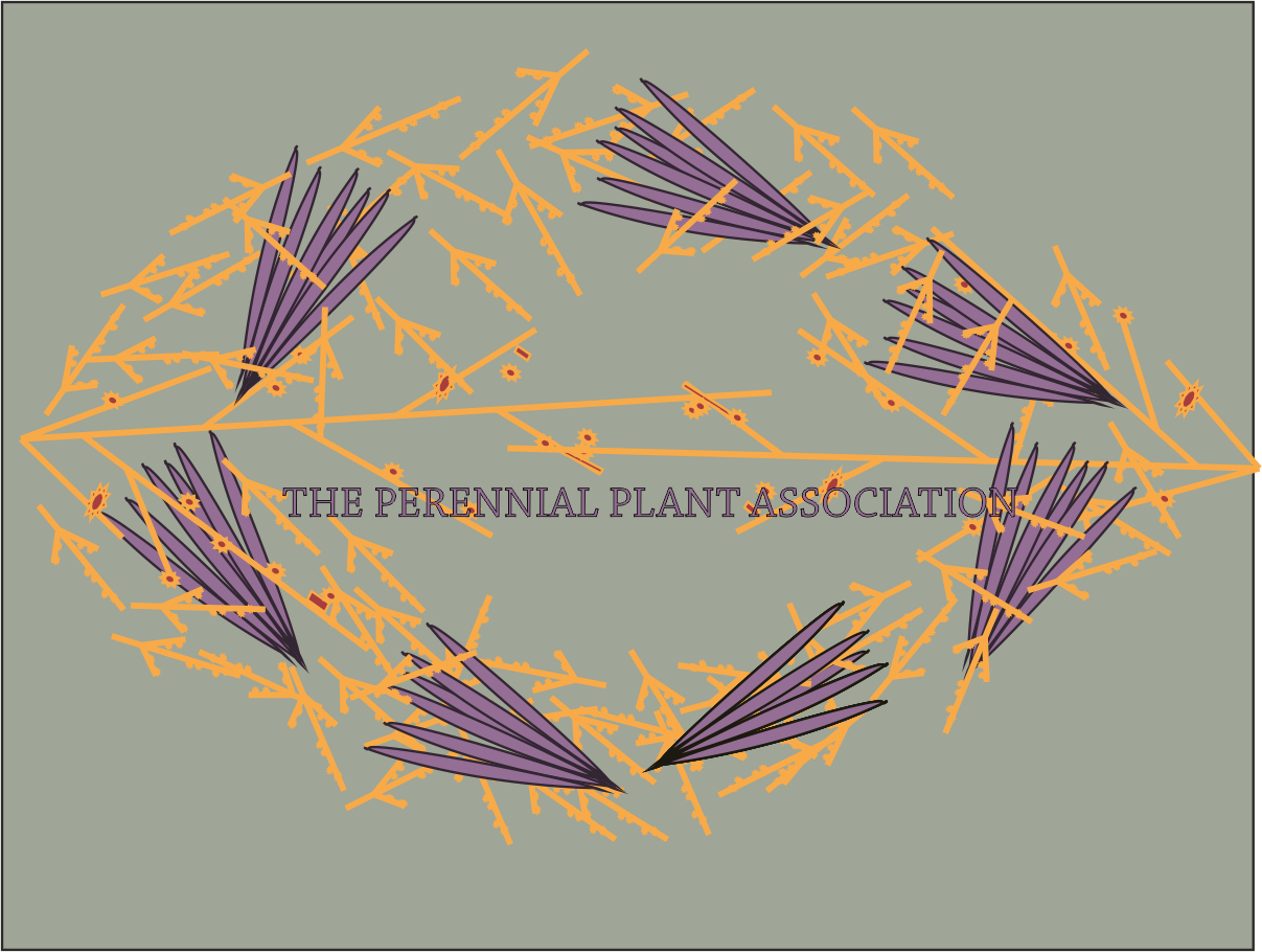 T-shirt Design by lady worth for this project | Design #2765430