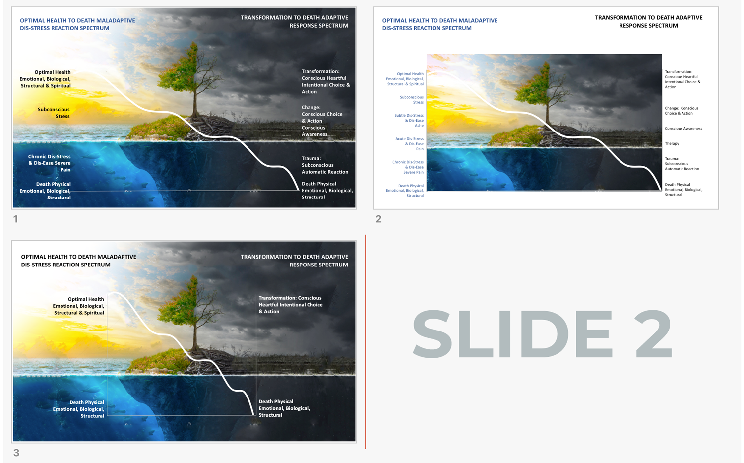 PowerPoint Design by Adrienne J for Heart & Science of Living | Design #17041694