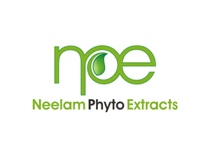 Logo Design by ibnu efendy