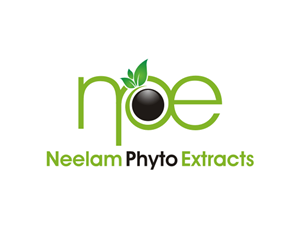 Logo Design by ibnu efendy for this project | Design: #640668