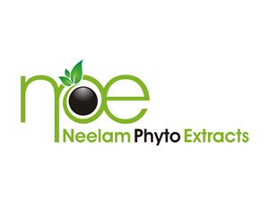 Logo Design by ibnu efendy for this project | Design #640670