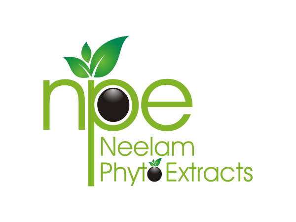 Logo Design by ibnu efendy for this project | Design #644331