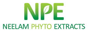Logo Design by Innerworld Designs ltd. for this project | Design #641031