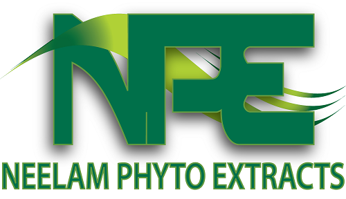 Logo-Design von NewYorkFX für dieses Projekt | Design #622084