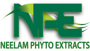 Logo-Design von NewYorkFX für dieses Projekt | Design: #622084