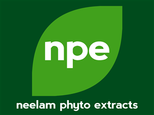 Logo Design by Ronca