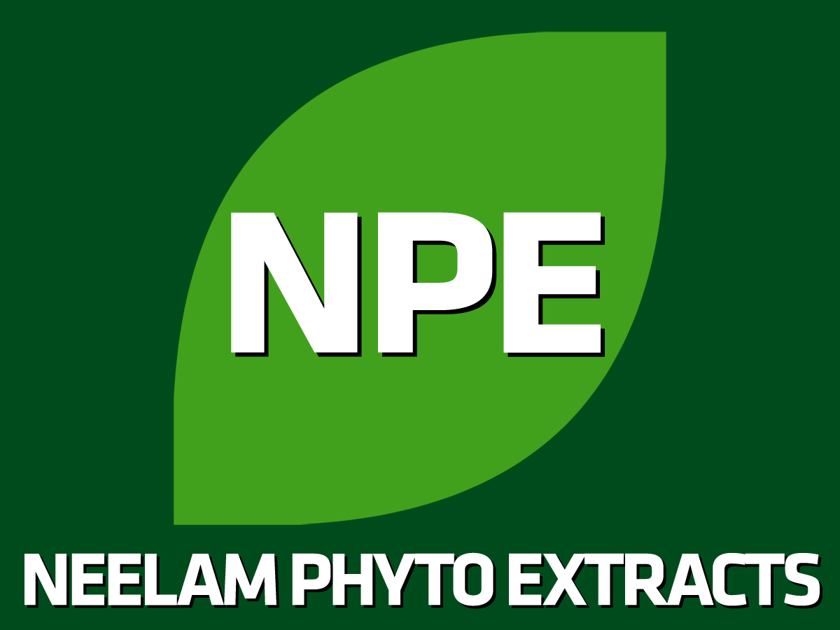 Logo Design by Ronca for this project | Design #619079