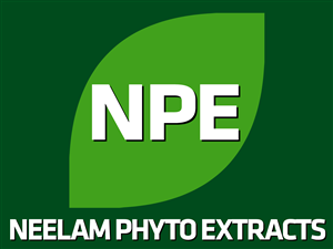 Logo Design by Ronca for this project | Design: #619079