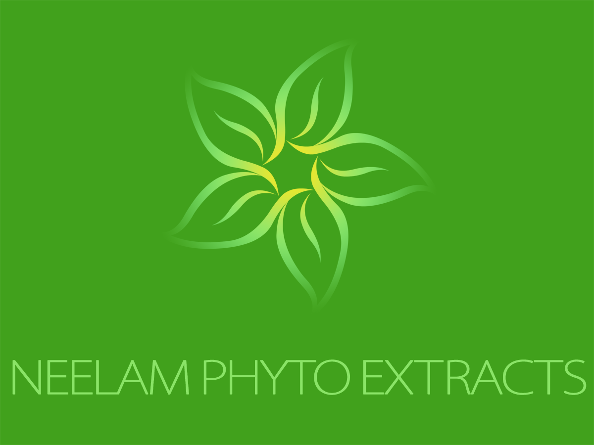 Logo Design by Ronca for this project | Design #619088