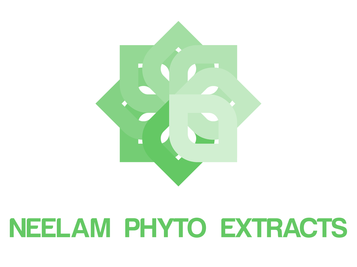 Logo-Design von Ronca für dieses Projekt | Design #619743