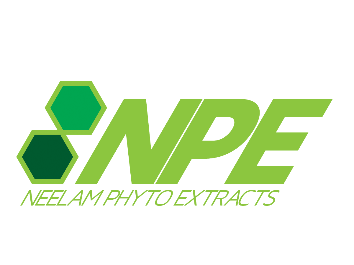 Logo-Design von Ronca für dieses Projekt | Design #624702