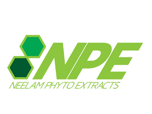 Logo-Design von Ronca für dieses Projekt | Design: #624702