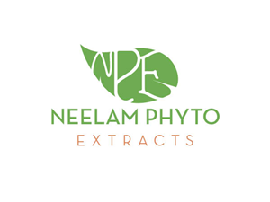 Logo Design by IY Design Studio