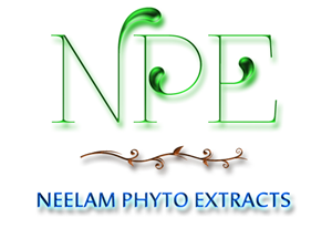 Diseño de Logo por Pixel Pix para este proyecto | Diseño: #619936