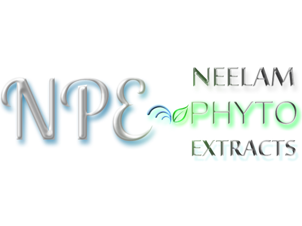 Logo Design by Pixel Pix for this project | Design #620068