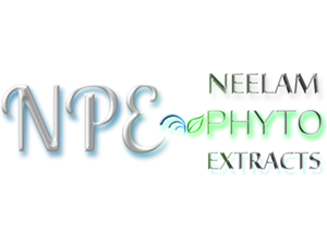 Logo Design by Pixel Pix for this project | Design: #620068