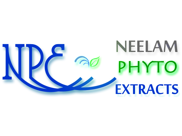 Logo-Design von Pixel Pix für dieses Projekt | Design #621582