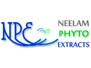 Logo Design by Pixel Pix for this project | Design: #621582